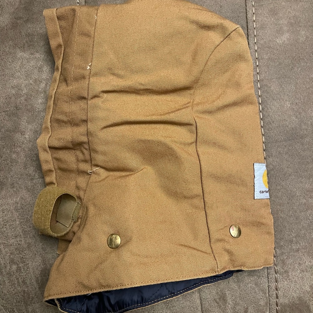 CARHARTT INSULATED HOOD